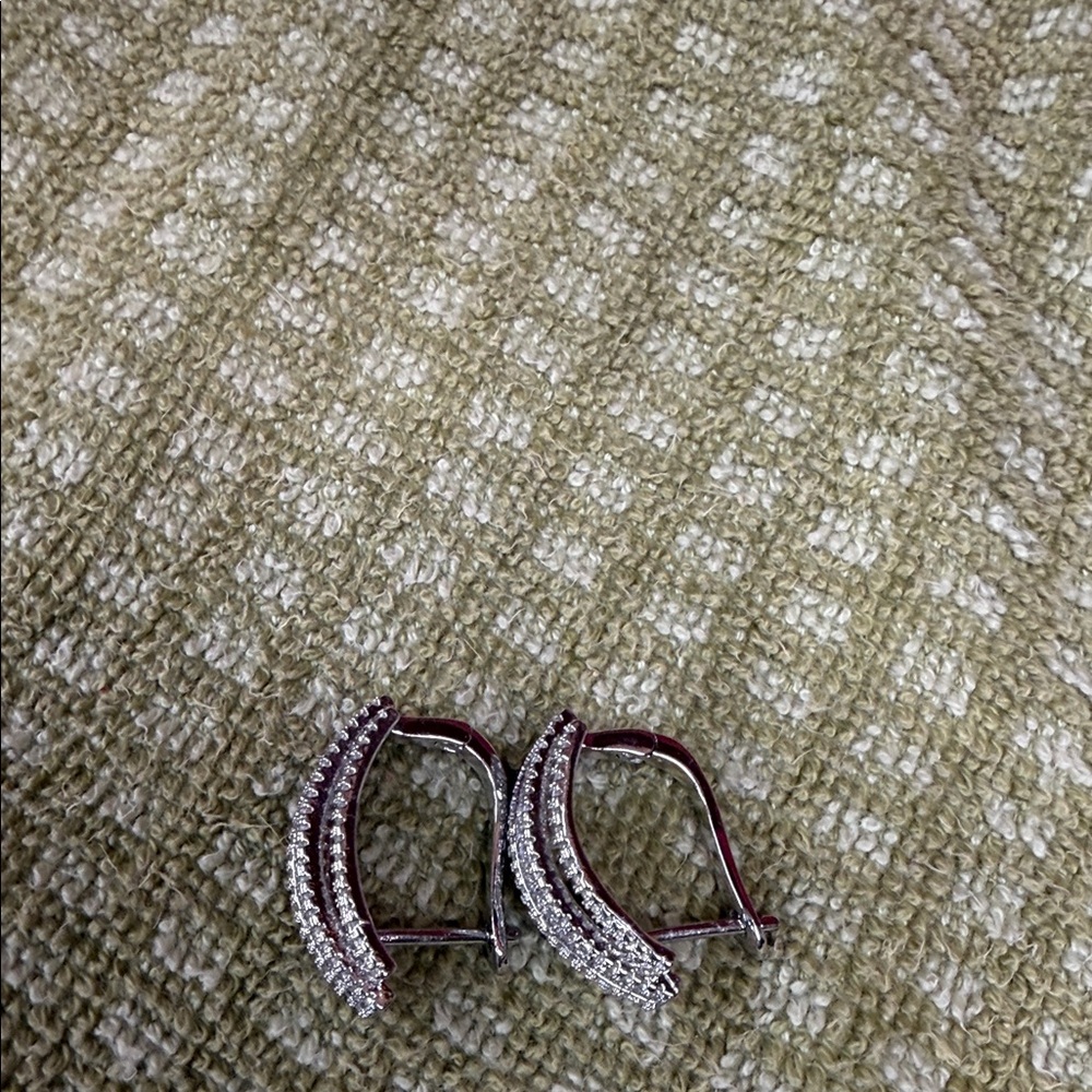 Elegant Silver Hoop Earrings